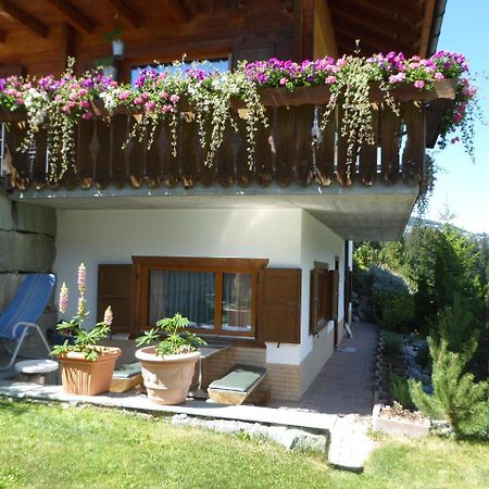 Apartment Fadail 2B Lenzerheide Kültér fotó